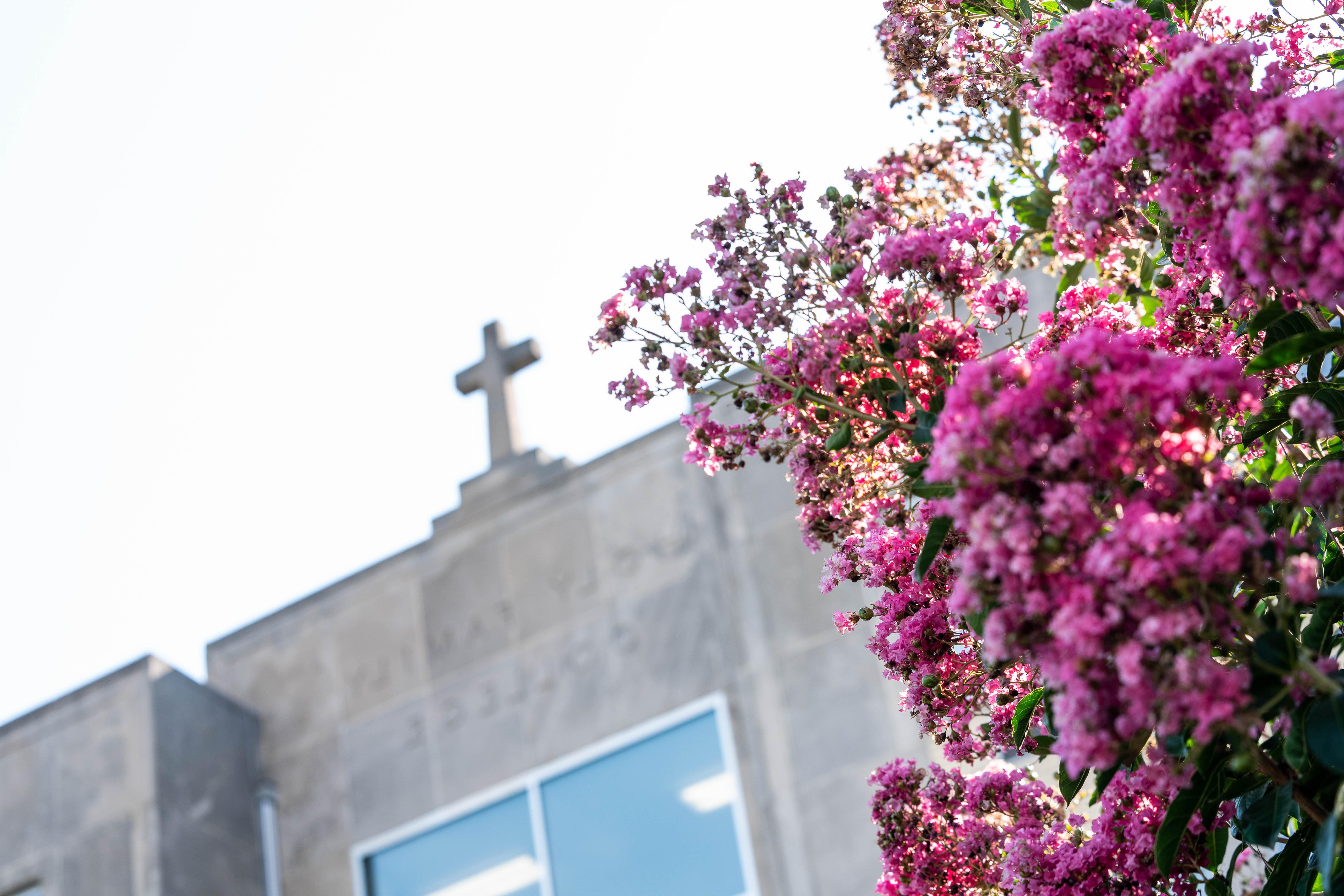 Cross on the room of Holy Family University Hall